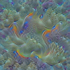 n09256479 coral reef
